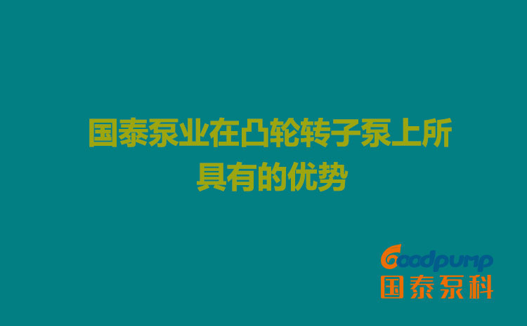 蘑菇视频网页版泵业在凸轮蘑菇视频黄片上所具有的优势