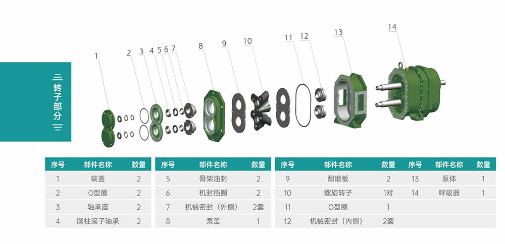 GS/DR系列凸轮蘑菇视频黄片转子部分结构图